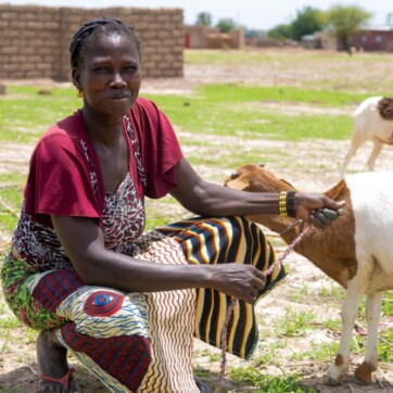 Barnarbete minskade kraftigt i Burkina Faso