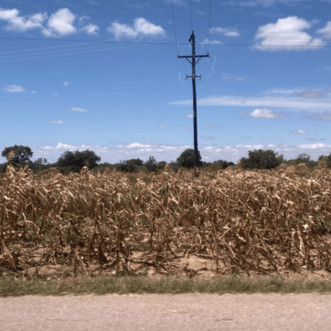 torrt fält i zambia