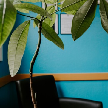 colorful office