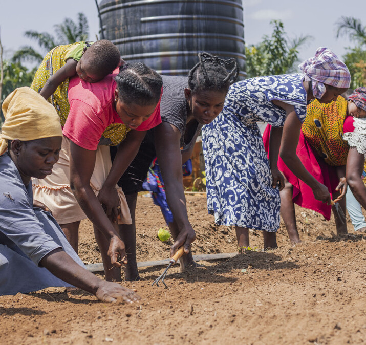 Kvinnor arbetar. Jordbruk.