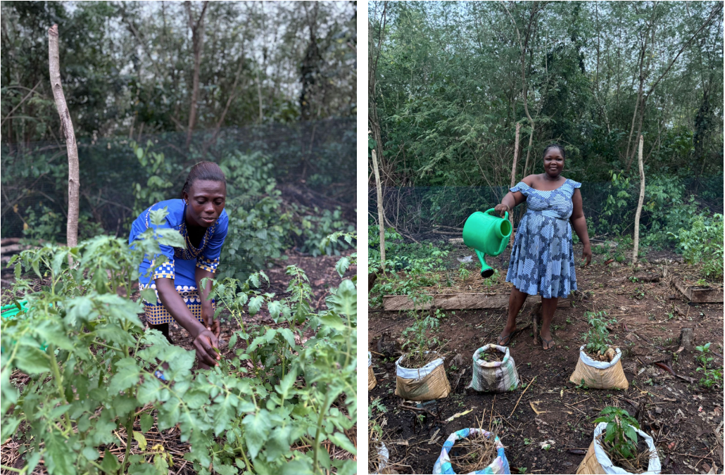 Två kvinnliga bönder i Ghana