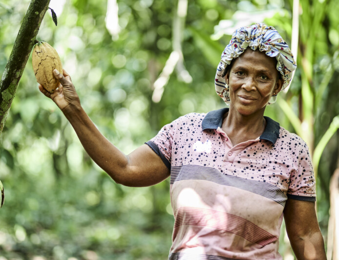 kvinna i ghana vid kakaoträd